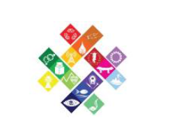 This is an image of the NSDP logo
